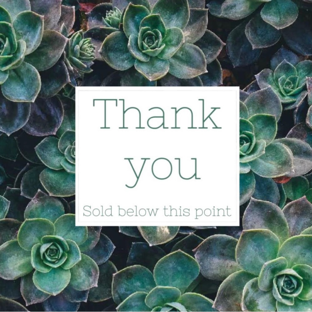 Sold beyond this point thanks for shopping my closet :)